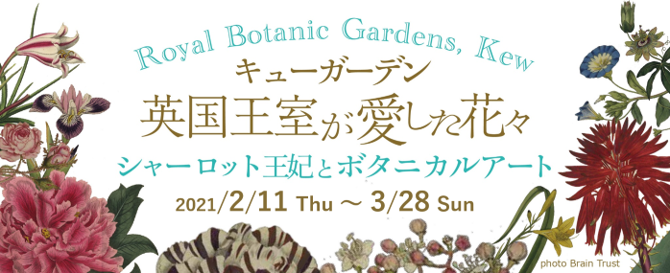 ガーデンルチルクラスター彫刻 蝉（セミ） 庭園水晶の中のルチル